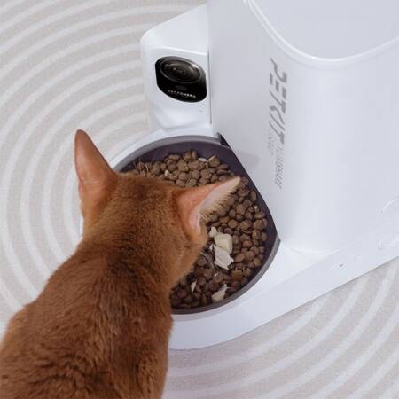 Petkit Yumshare Solo Kameralı Akıllı Mama Kabı 3 Lt - Beyaz - 2