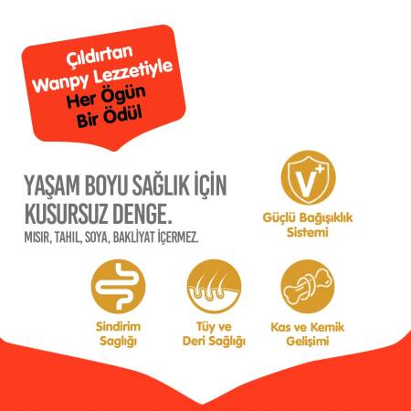 Wanpy Tahılsız Ördekli Yetişkin Köpek Maması 1,5 kg - 4